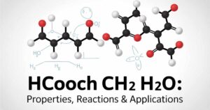 HCOOCH CH2 H2O